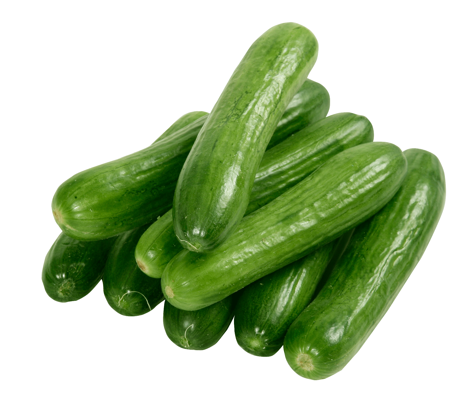Cucumber
