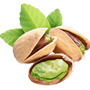 Pistachio